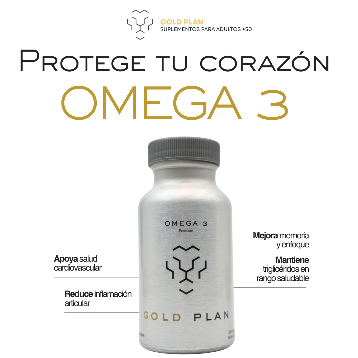Pack Enfoque - Omega 3 + Complejo B 120 Cápsulas